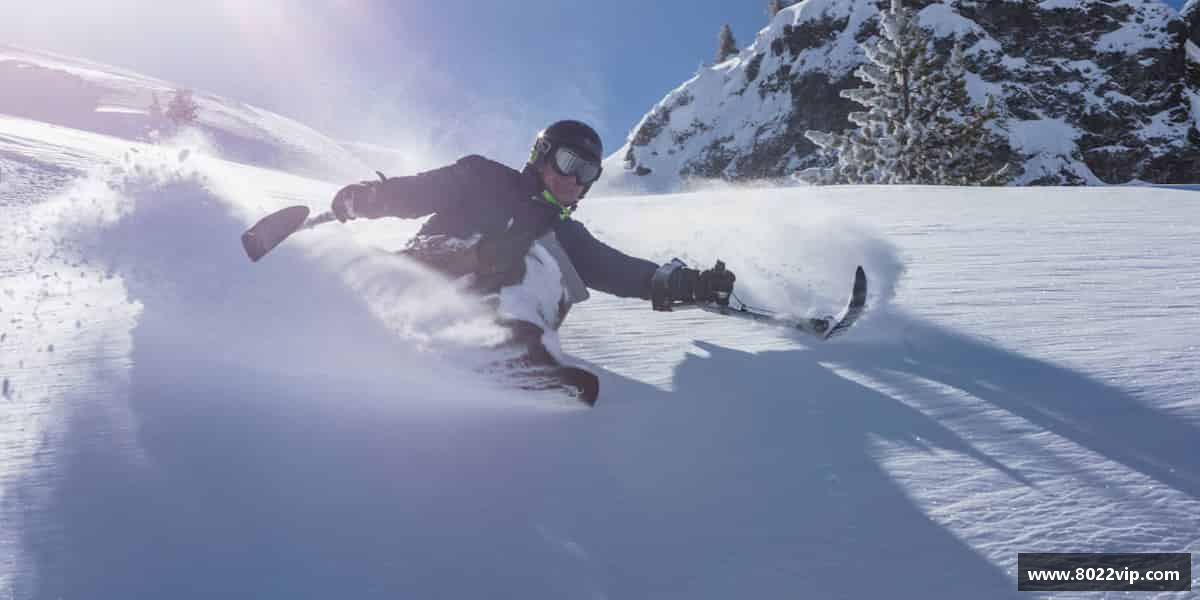 发现完美体育官方网站